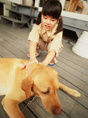 平塚の動物病院で犬の嘔吐をみてもらう