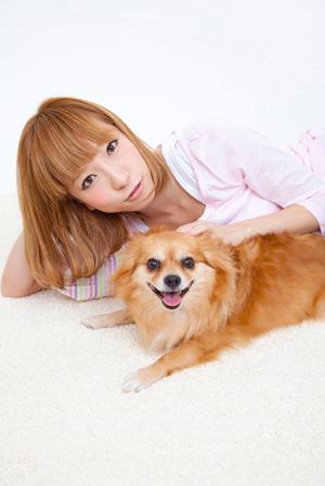 埼玉でウエスティーと触れ合うなら