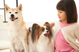 京都市で評判の高い動物病院を探そう