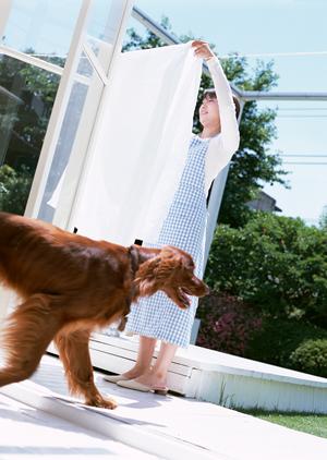 国産のドッグフードは安全で栄養価も高い