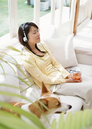 京都市で安心して利用できる動物病院