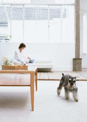 盛岡での永代供養の選び方と信頼の葬儀社ガイド