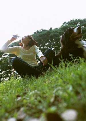 犬でも壊れないおもちゃの特徴・メリット
